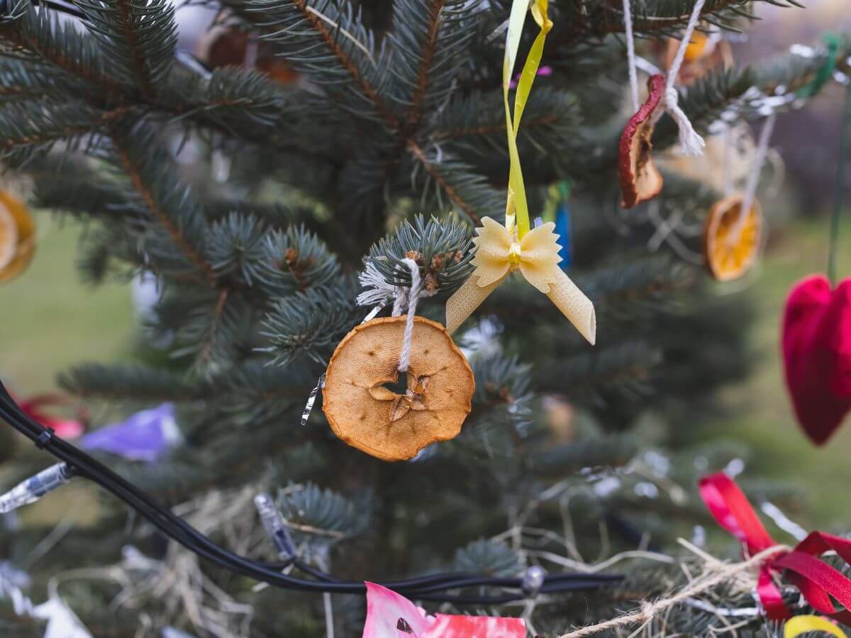 Christmas Decorations in France: Ideas for 2026