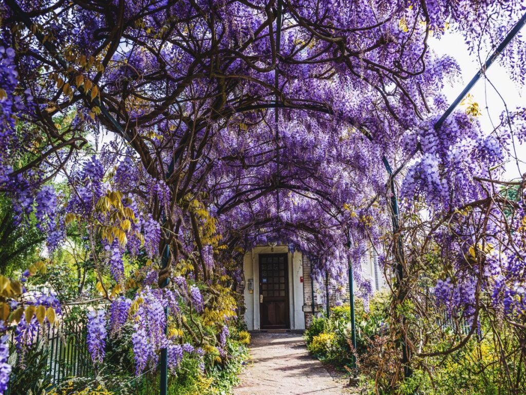 15 Spots to Visit during Spring in France That Are Simply Beautiful